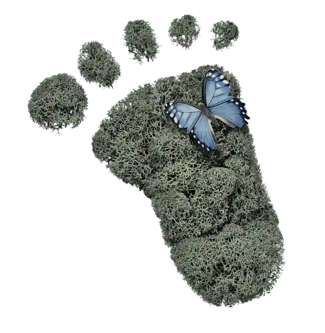 Huella de un pie con naturaleza. PLV de cartón sostenible comprometido medioambiente
